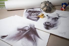 Animals to draw for beginners. Majestic Animal Ballpoint Pen Drawings Doodlers Anonymous