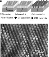 Check spelling or type a new query. Carbon Nanotube Assembly And Integration For Applications Nanoscale Research Letters Full Text