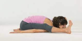 Kurmasana Tortoise Pose The Journey Inward