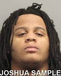 DSP Arrest Burglary Suspect in Harrington Business