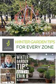 Winter Garden Tips For Your Zone In 2020 Winter Garden Autumn Garden Gardening Tips