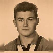 Louis Zajec Obituary (2024)