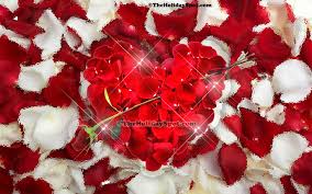 We did not find results for: 52 Red Rose Heart