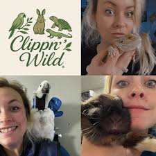 Cabot and Lonoke County News and Commentary