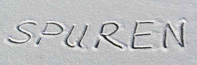 Im Neuschnee