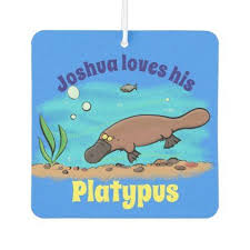 Cute Platypus Swimming Cartoon Air Freshener Zazzle Com In 2020 Swimming Cartoon Air Freshener Freshener