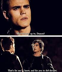 The Vampire Diaries Tv Show Fan Art Quotes Vampire Diaries Funny Vampire Diaries Vampire Diaries Quotes