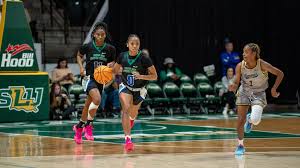 Baseball Done In Late Against Houston Baptist