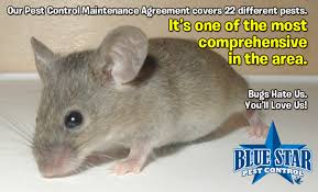 The typical rent zestimate® for this zip code is $800. Blue Star Pest Control