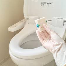 生活 トイレブラシとはさようなら ゴム手袋で磨いてポイっ トイレブラシ 収納 アイデア ゴム手袋