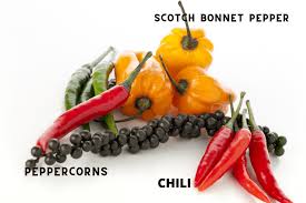 Information and translations of scotch bonnet in the most comprehensive dictionary definitions resource on the web. Scotch Bonnet Pepper Healthier Steps