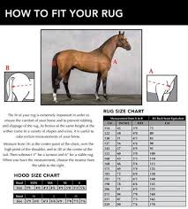 Sizing Guide Horsefit
