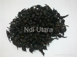 Spend rm60 for free shipping. Agarwood Seed Malaysia Trading Company Plant Seeds Gardening Products Diytrade China Manufacturers Suppliers Directory
