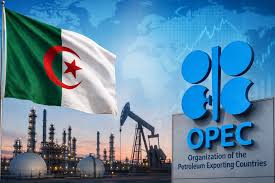 رئيس الجمهورية — trending on Google in Algeria