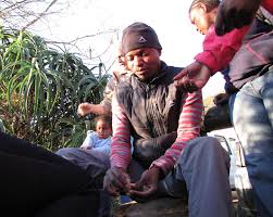 Image result for Psammotropha myriantha