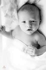 Raleigh Family Photography