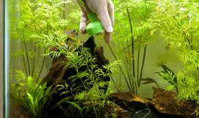 Cleaning an empty fish tank. Top 13 Tips To Clean A Fish Aquarium Like A Pro Cleaning Company In South London Cleanday London