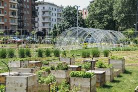 We did not find results for: Is Urban Farming The Future Of Agriculture Methods And Best Practices Soy Real Estate