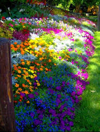 Pin On Beautiful Pictures