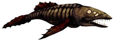 Image result for Coelachne