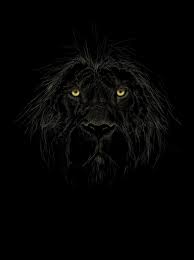 Google Image Result For Http Th07 Deviantart Net Fs71 Pre I 2010 295 C 1 Black Lion By Ian Somers D319egw Jpg Black Lion Black Animals Black Backdrops