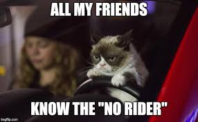 Bonus joke plus some special seasonal puns brought to you by tuxedo cat (check out their blog for more fun cat puns) Grumpy Cat Driving Imgflip