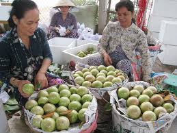 Image result for Chợ Quê