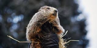 And are most often found where a wooded area meets a clearing. Yixv4gcfkbhscm