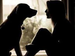 Don't forget to bookmark this page by hitting (ctrl + d), Drakenstein Animal Rescue Paarl
