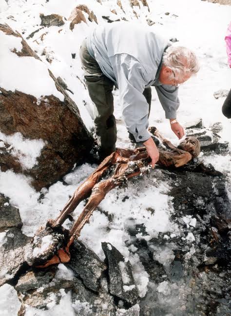 Iceman's Stomach Sampled—Filled With Goat Meat | National Geographic