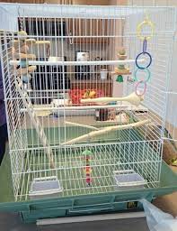 Bird Bath For Budgie Cage How To Set Up A Birdcage For A Parakeet Or Cockatiel Pet Bird Cage Bird Cage Parakeet