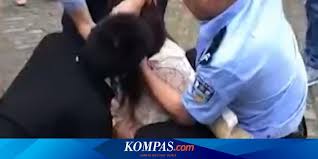 Anda juga dapat mengunduh gambar transparan hawaii,tiki,topeng di sini. Tak Terima Diputus Perempuan Ini Gigit Lidah Kekasihnya Saat Berciuman