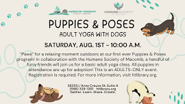 Puppies & Poses (Adults-Only Yoga with Dogs)