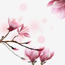 ألوان مائية الزهور خلفية الصورة الزهور المائية صور الزهور صورة Png وملف Psd للتحميل مجانا In 2020 Flower Background Images Watercolor Flower Background Watercolor Flowers