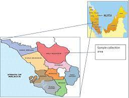 Popular amenities for hulu selangor district vacation rentals. Simian Malaria In Wild Macaques First Report From Hulu Selangor District Selangor Malaysia Malaria Journal Full Text