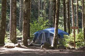 Best Camping In The Tualatin Valley What S The Word Tillamook State Forest Camping Places Tualatin Valley