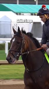 He’s so golden ☀️, Is Golden Tempo your Kentucky Derby pick? , #horseracing  #kyderby #kentuckyderby | FanDuel Racing | Facebook