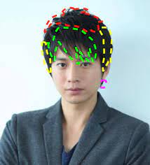 こんにちは くせ毛 剛毛 多毛について記事を書いている佐藤と申します 現役美容師の戸来監修の元 メンズくせ毛 剛毛用のワックス開発のお手伝いをしております 今回は イケメン長身でさらにイクメンと言われる人気俳優 向井理さんの髪型について 解説していき