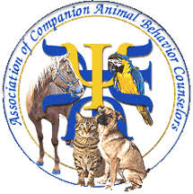 Robert hewings the pet professional guild guiding principles are supported by our best practice document. Dog Training By Pj Trainers