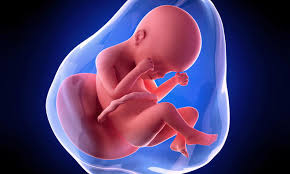 Maybe you would like to learn more about one of these? 24 Ssw Die Mutterbander Ziehen