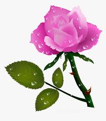 On this page you can download free images and pictures on theme: Clip Art Free Download Rose Flower Gif Clipart Hd Png Download Transparent Png Image Pngitem