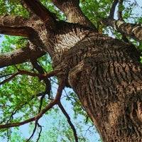 To connect with robles tree service llc., join facebook today. Robles Tree Service Llc Danbury Ct