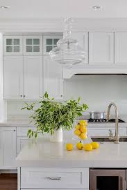 Great addition!mythwe renovated our kitchen and wanted to add a white. Off White Quartz With White Kitchen Island Transitional Kitchen
