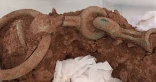 .الأحمد عبد العزيز الكرعاني عبد الكبير الحديدي عبد الله المطرود عبد الله بصفر عبد الله خياط عبد الله عواد الجهني عبد الله كامل. Ø´Ø§Ù‡Ø¯ Ø§Ù„Ø¹Ø«ÙˆØ± Ø¹Ù„Ù‰ Ø¹Ø±Ø¨Ø© ÙŠØ±Ø¬Ø¹ ØªØ§Ø±ÙŠØ®Ù‡Ø§ Ø¥Ù„Ù‰ Ø§Ù„Ø¹ØµØ± Ø§Ù„Ø­Ø¯ÙŠØ¯Ù‰ Ø¨Ù€ Ø¥Ù†Ø¬Ù„ØªØ±Ø§ Ø§Ù„ÙŠÙˆÙ… Ø§Ù„Ø³Ø§Ø¨Ø¹