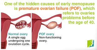 These control a woman's monthly cycle (periods). 4 Hidden Causes Of Early Menopause Menopause Now