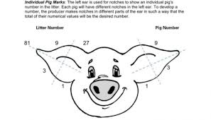 By Choosing This Pig Ear Notches Worksheet You Get Amazing
