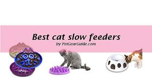 Feeders and toys to make your pet smart. Top 12 Best Cat Slow Feeders And Puzzle Feeders To Buy Updated 2020