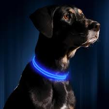 Led Dog Collar Usb Rechargeable Available In 6 Colors Andamp 6 Sizes Makes Your Dog Visible Be Sure To Check Out Led Dog Collar Dog Leads Pet Collars