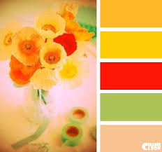 Butter + cup, from color and shape of flower * * * any of about 250 species of. Color Palette Yellow Chlorine Red Buttercup Yellow Color Palette Yellow Chameleon Color Color Magic