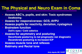 Image result for Coma Exam